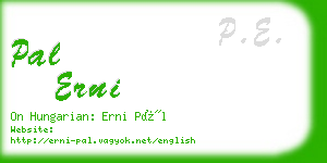 pal erni business card